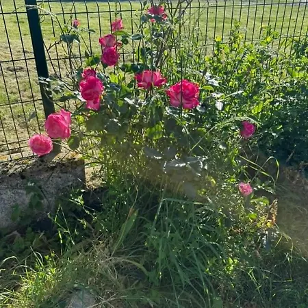 Holiday home Petit Cocon Du Suc